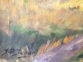 Paisaje, Oléo sobre Lienzo de J.P.Jungo